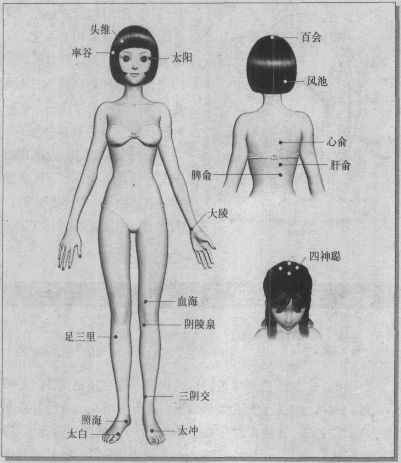 第四節(jié) 烏發(fā)潤發(fā)
